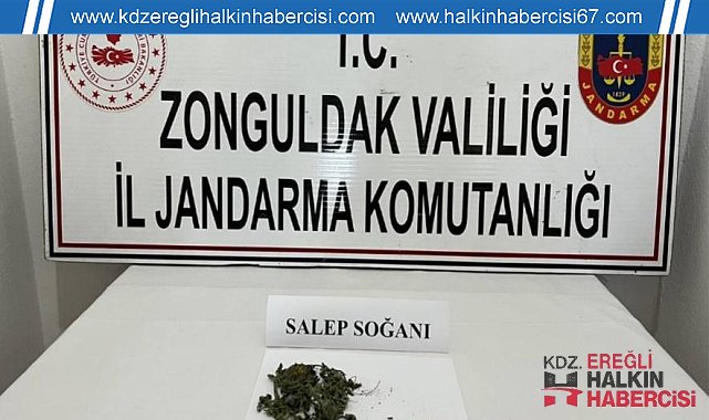 Jandarma şüphelendiği araçta 2 adet salep soğanı ele geçirdi
