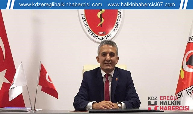 Karanfil: