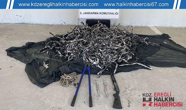Enerji nakil kablolarını çaldılar