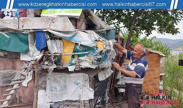 İşçi emeklisi ömrünü kedilere adadı, evlat özlemini sokak kedileriyle gideriyor