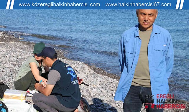 Karadeniz'de tedirgin eden görüntü