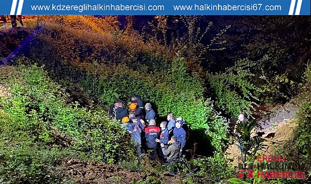 Pikap 50 metreden şarampole uçtu: 2 yaralı