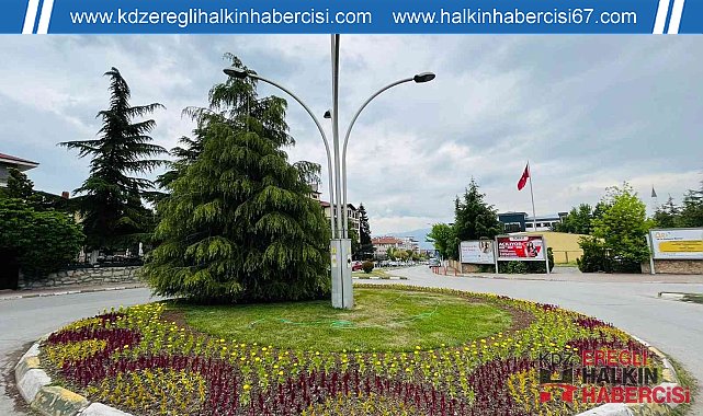 Tarihi ilçe Safranbolu, serada yetiştirilen çiçeklerle renklendi