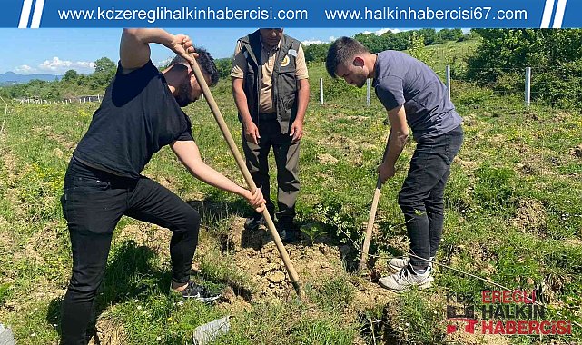 Üniversite öğrencileri fidanları toprakla buluşturdu