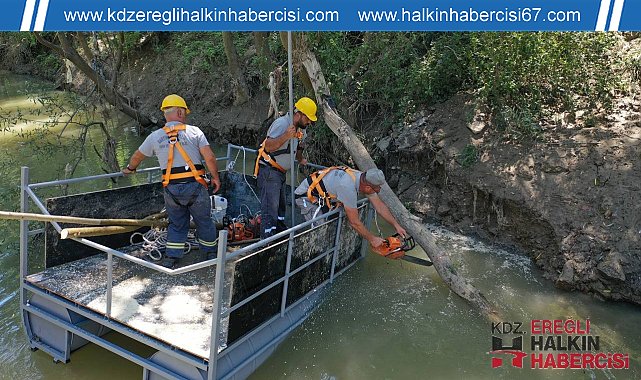 Sel sonrası Bartın Irmağı'nda ağaç temizliğine başlandı