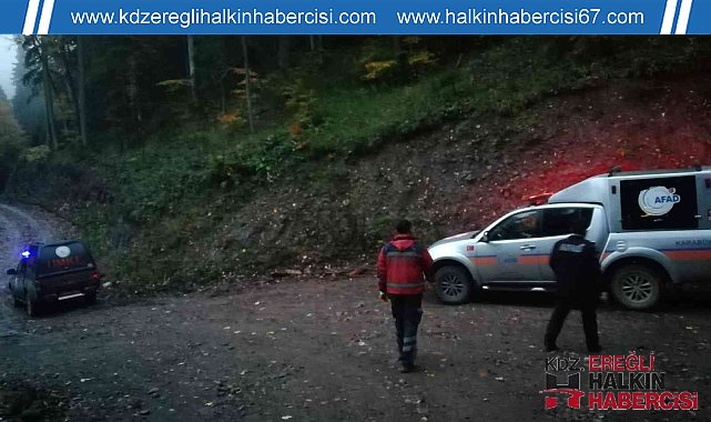 Mantar aramak için girdikleri ormanda kayboldular