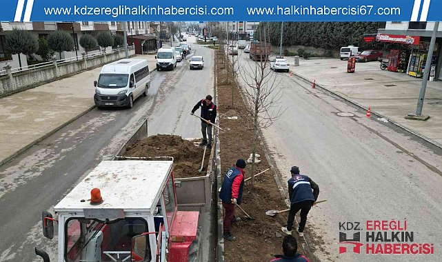 Milyonlarca çiçek diktiler