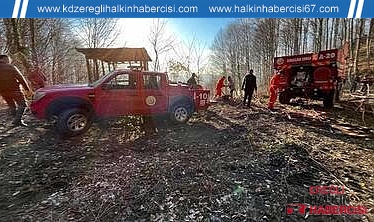 Zonguldak'ta orman yangını büyümeden söndürüldü