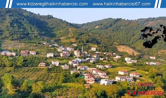Hırsızlar, Alaplı'da boş evlere dadandı