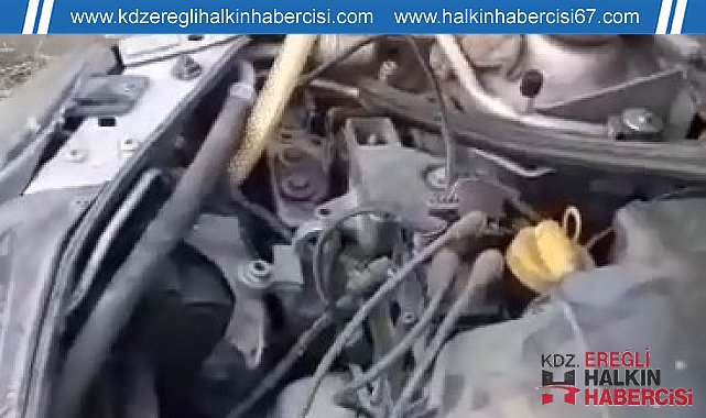 Motora giren yılan güçlükle çıkarıldı