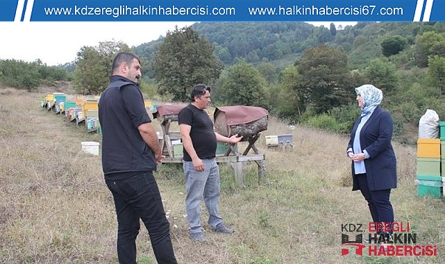Bal arısı üretim sahası incelendi