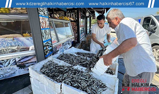 Düzce'de hamsi fiyatı 20 liraya kadar düştü