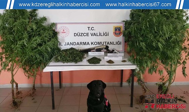 Uyuşturucu imal edilen eve jandarma operasyonu