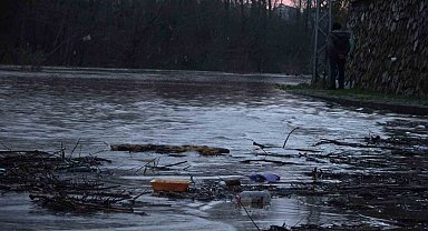 Asfaltta balık avladı