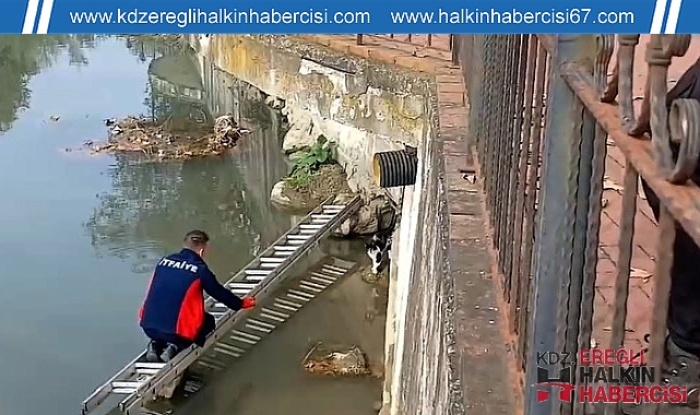 Çayda mahsur kaldı!...