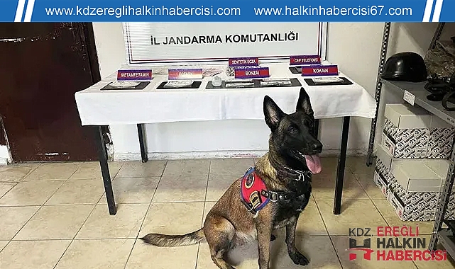 Zonguldak'ta Emniyet ve Jandarma faaliyetlerine ara vermeden devam ediyor ...