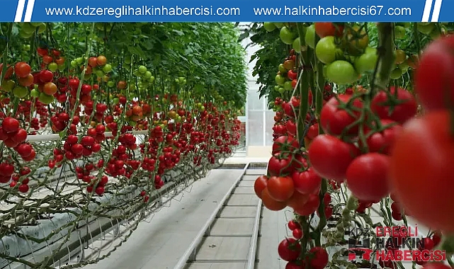 Türkiye tarımını geleceğe hazırlıyor