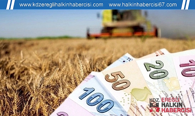 Zonguldak'ta tarımı kalkındıracak projelere destek!