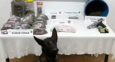 Akçakoca'da Zehir taciri operasyonu!