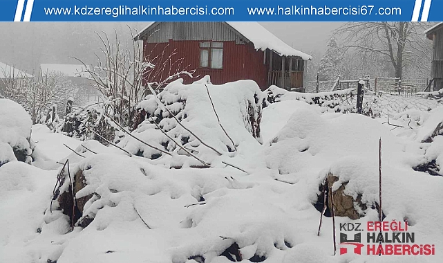 Alaplı’dan kartpostallık görüntüler ...