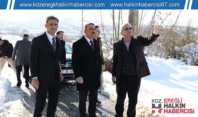 3.000 Kapasiteli Modern Hayvan Barınağı İnşa Ediliyor