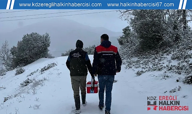 Kdz.Ereğli'de Şap Hastalığı Şüphesi Üzerine Karantina Tedbirleri Alındı ...
