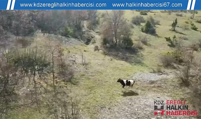 Köyde kayboldu! Cami imamı drone ile böyle buldu