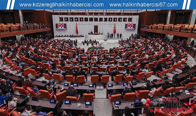 YSK KARARI RESMİ GAZETE'DE: 6 İLİN MİLLETVEKİLİ SAYISI DEĞİŞTİ