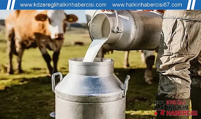 TÜİK verileri endişe yarattı; Süt üretiminde gerileme!