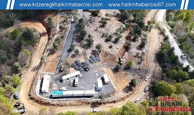 Zonguldak'ta sahipsiz hayvanlar için bakımevi ve doğal yaşam alanı kuruluyor