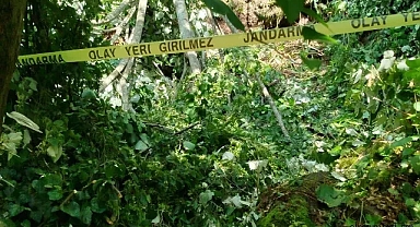 Acı olay! Kestiği ağacın altında kalan kişi öldü ...