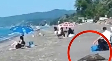 AKÇAKOCA SAHİLİNDE ÖLÜ YUNUS SKANDALI! GÜNLERDİR KALDIRILMADI ...
