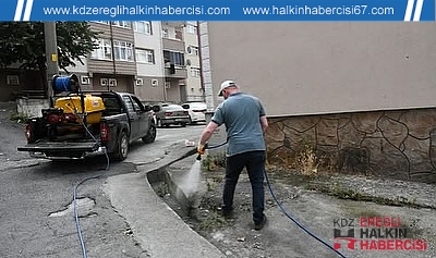 ALAPLI BELEDİYESİ’NDEN CAMİ SOKAK’TA İLAÇLAMA ÇALIŞMASI