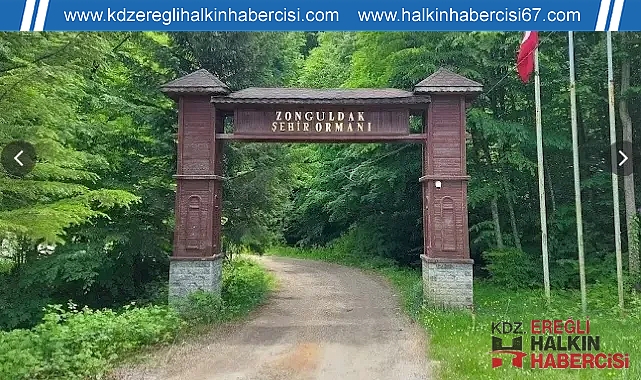 Zonguldak ormanlarda ateş yakılması yasaklandı ...