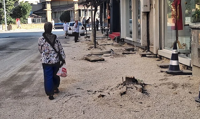 Edirne Keşan'da kaldırım için ağaç kesimine tepki!