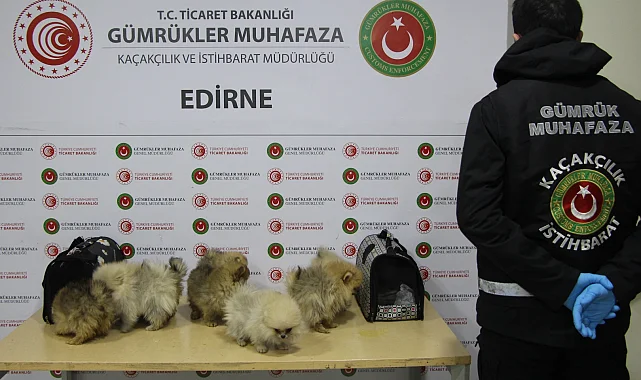 Gümrüklerde yılın ilk yarısında 35,5 milyar TL'lik kaçak eşya yakalandı... Gümrüklerde yakalamalar yüzde 199 arttı
