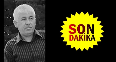 Kestiği ağacın altında kalan Yunus Çelik hayatını kaybetti