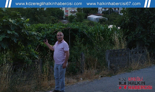 Kocamanoğlu,