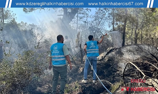 Ülkü Ocakları'ndan Orman Yangınlarına Karşı Seferberlik