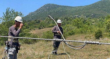 Yüksek Gerilim Hattı Yangın Tehlikesi Yarattı