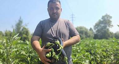 BABA MESLEĞİNİ BIRAKIP TARLAYA KOŞTU!