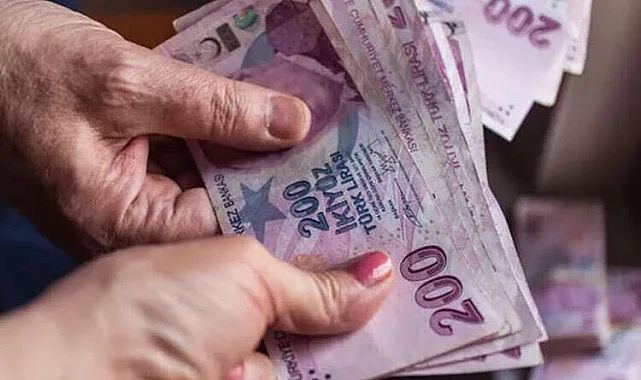 7,1 milyar TL'lik yaşlı ve engelli aylıkları hesaplarda