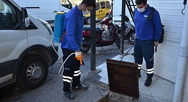 Antalya'da vektörel mücadele çalışmaları sürüyor