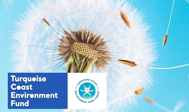 TCEF 2026 Hibe Programı'nda Türkiye'nin güney ve batı kıyılarına destek... Son başvuru 25 Ocak