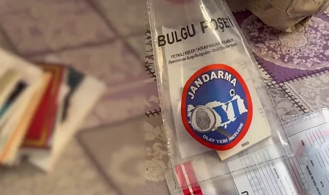 24 ilde DEAŞ operasyonu: 88 şüpheli yakalandı