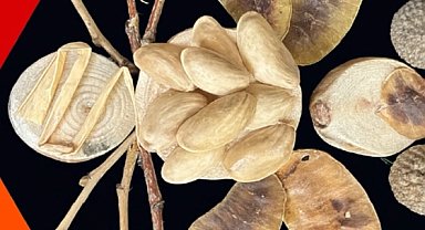 İzmit Oyuncak Müzesi'nde yaratıcı atölyeler sürüyor