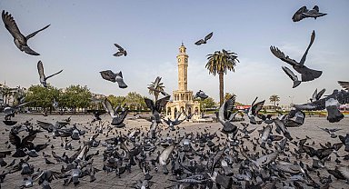 Ticaret Bakanlığı sahte ilanlara karşı denetim avında