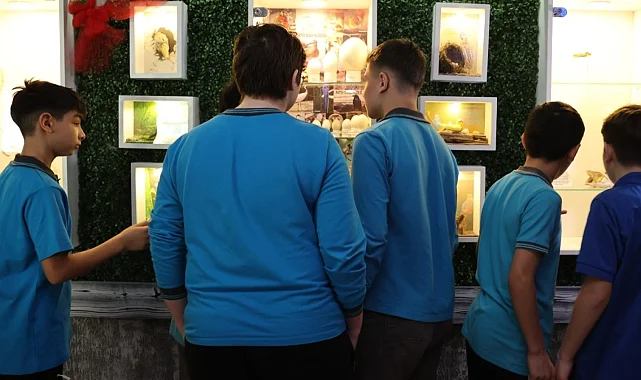 Samsun'da ortaokul öğrencilerinden okulda Doğa Müzesi