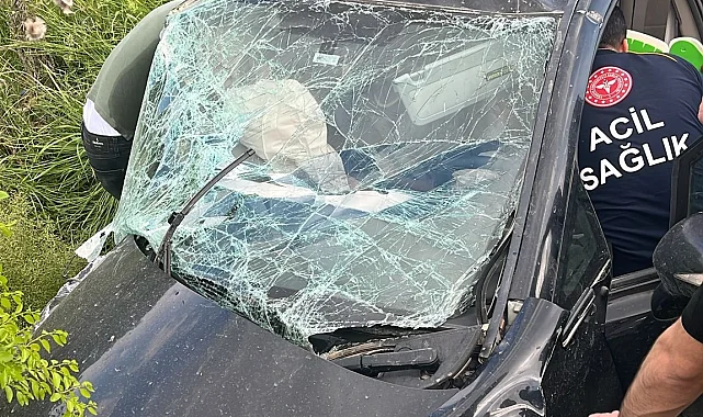 Adıyaman'daki kazada 5 kişi yaralandı