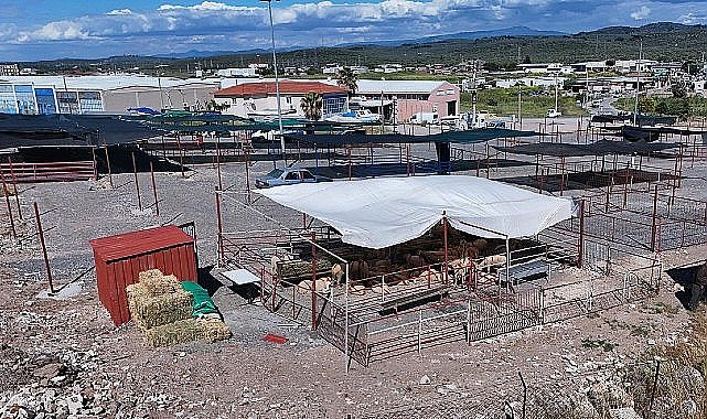 Ayvalık'ta Kurban Pazarı Hizmete Açıldı